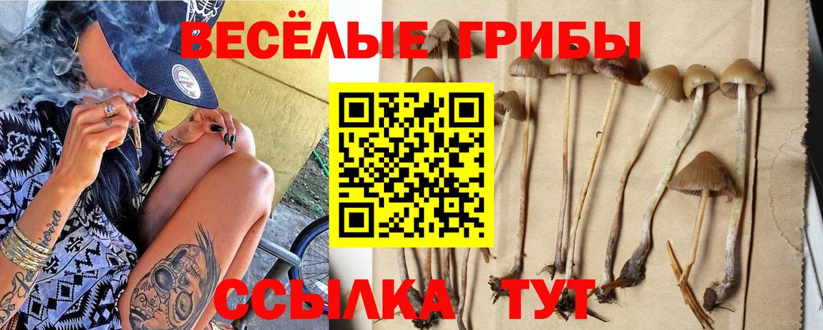 Галлюциногенные грибы прущие грибы Орёл